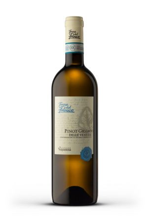 pinot-grigio-delle-venezie-doc
